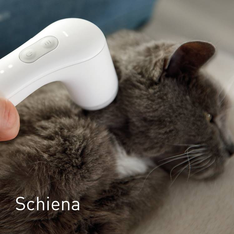 Rücken bei Katzen behandeln mit dem NOVAFON