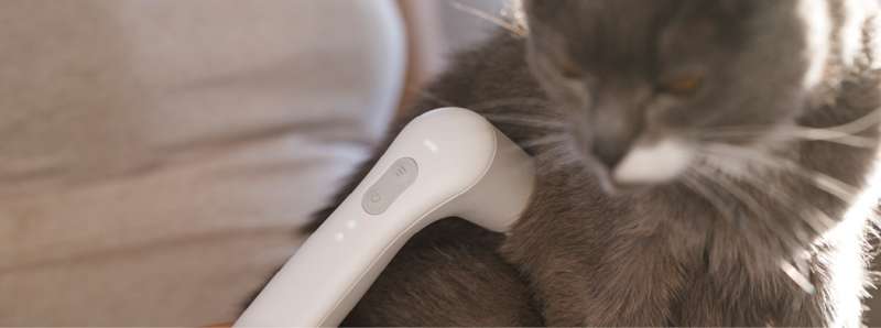 media/image/Banner_VET-Landingpage_Start_Katze.jpg