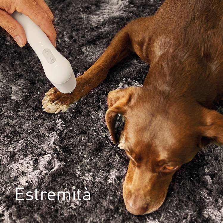 Extremitäten bei Hunden behandeln mit NOVAFON