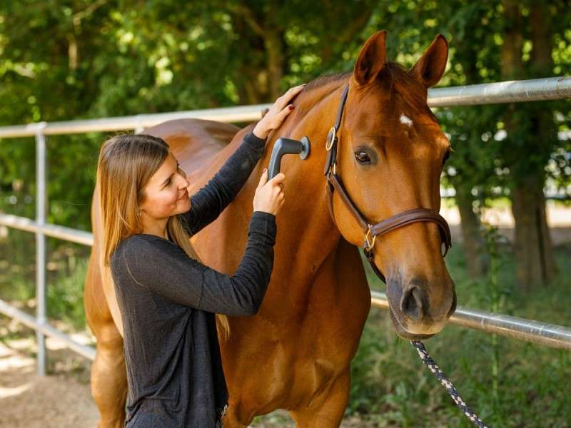 media/image/anwendung_tiertherapie_pferd_800x800ngspoPiHJgD8X.jpg