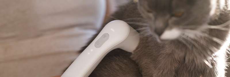media/image/Banner_VET-Landingpage_Start_Katze_1920x650px.jpg