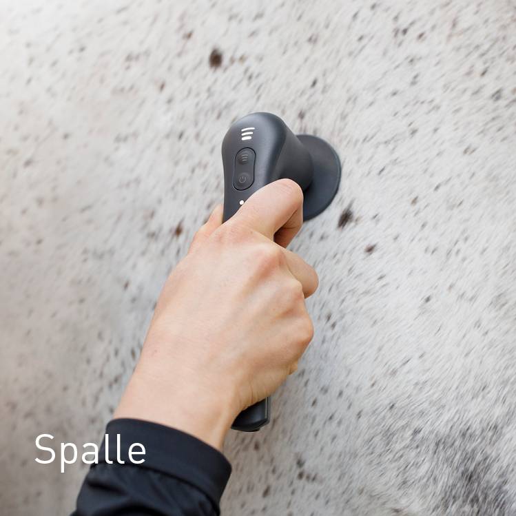 Schulter beim Pferd behandeln mit NOVAFON